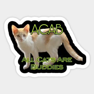 ACAB- All Cats Are Buddies Sticker